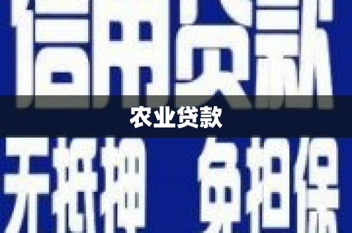 福安农业贷款