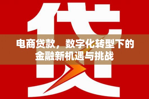 福安电商贷款，数字化转型下的金融新机遇与挑战