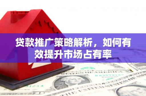 福安贷款推广策略解析，如何有效提升市场占有率