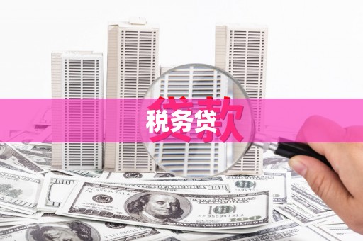 福安税务贷