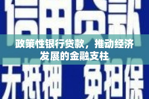 福安政策性银行贷款，推动经济发展的金融支柱