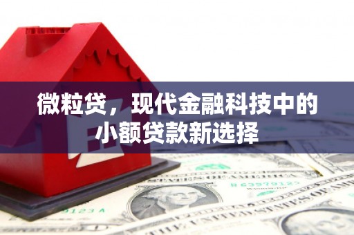 福安微粒贷，现代金融科技中的小额贷款新选择