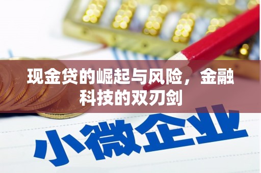 福安现金贷的崛起与风险，金融科技的双刃剑