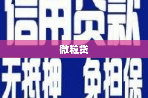 福安微粒贷