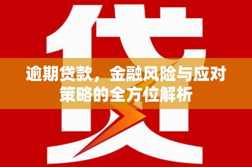 福安逾期贷款，金融风险与应对策略的全方位解析