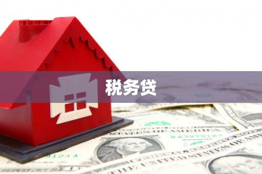福安税务贷