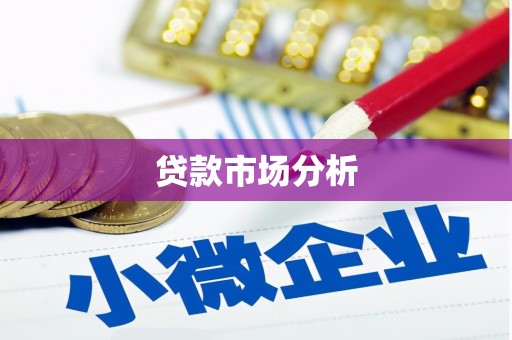 福安贷款市场分析