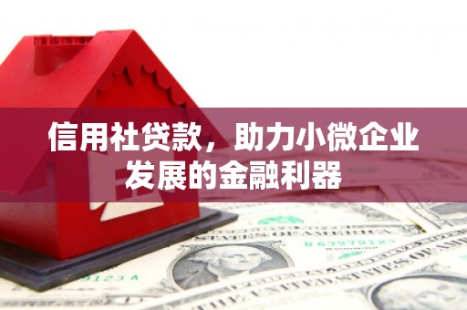 福安信用社贷款，助力小微企业发展的金融利器