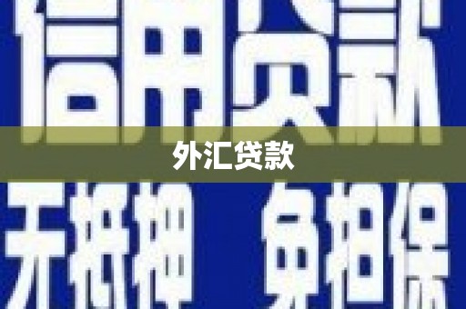 福安外汇贷款