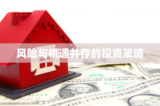 福安风险与机遇并存的投资策略