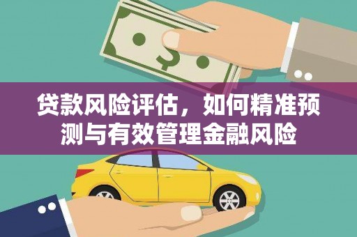 福安贷款风险评估，如何精准预测与有效管理金融风险