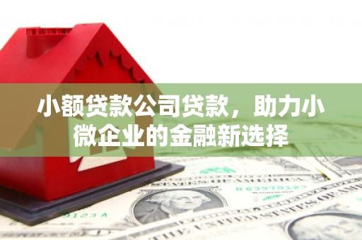福安小额贷款公司贷款，助力小微企业的金融新选择
