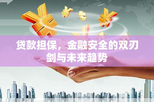 福安贷款担保，金融安全的双刃剑与未来趋势
