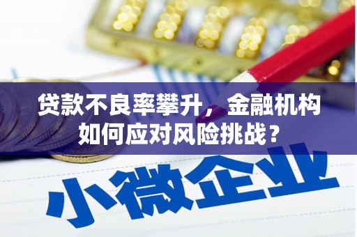 福安贷款不良率攀升，金融机构如何应对风险挑战？