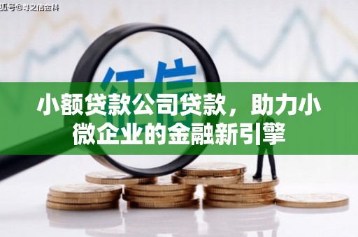 福安小额贷款公司贷款，助力小微企业的金融新引擎