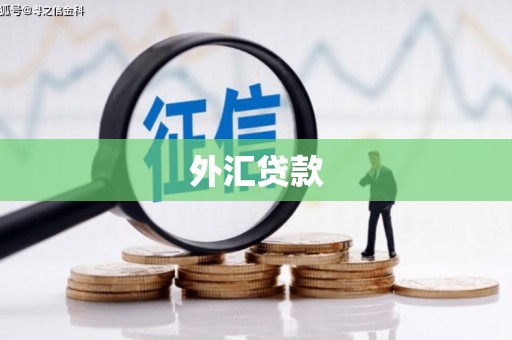 福安外汇贷款