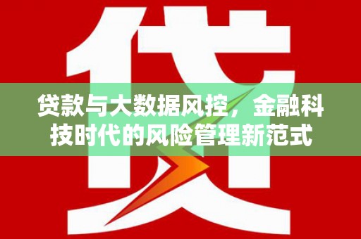 福安贷款与大数据风控，金融科技时代的风险管理新范式