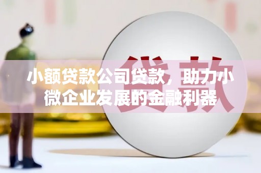 福安小额贷款公司贷款，助力小微企业发展的金融利器