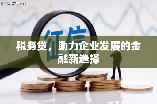 福安税务贷，助力企业发展的金融新选择