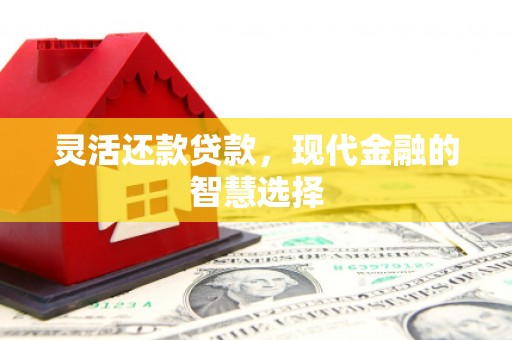 福安灵活还款贷款，现代金融的智慧选择