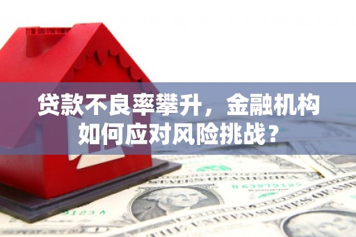 福安贷款不良率攀升，金融机构如何应对风险挑战？