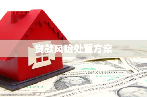 福安贷款风险处置方案