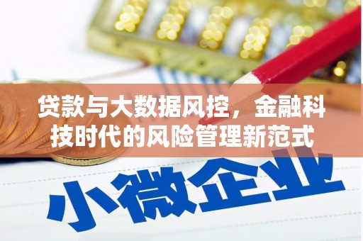 福安贷款与大数据风控，金融科技时代的风险管理新范式