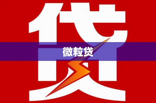 福安微粒贷