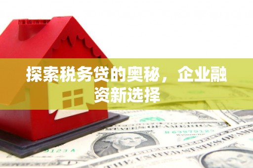 福安探索税务贷的奥秘，企业融资新选择