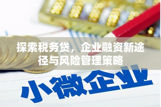 福安探索税务贷，企业融资新途径与风险管理策略