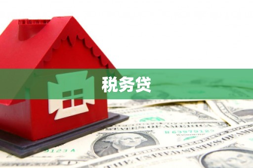 福安税务贷