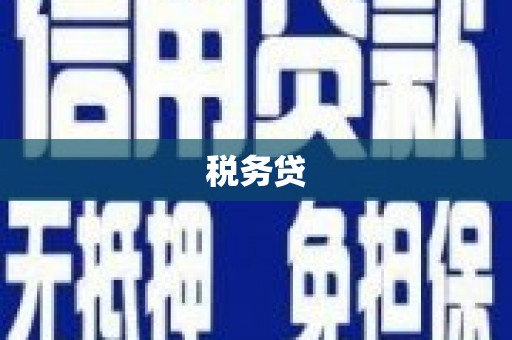 福安税务贷