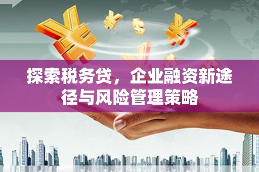 福安探索税务贷，企业融资新途径与风险管理策略
