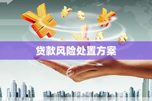 福安贷款风险处置方案