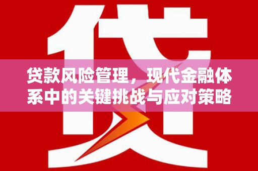 福安贷款风险管理，现代金融体系中的关键挑战与应对策略