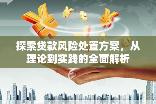 福安探索贷款风险处置方案，从理论到实践的全面解析