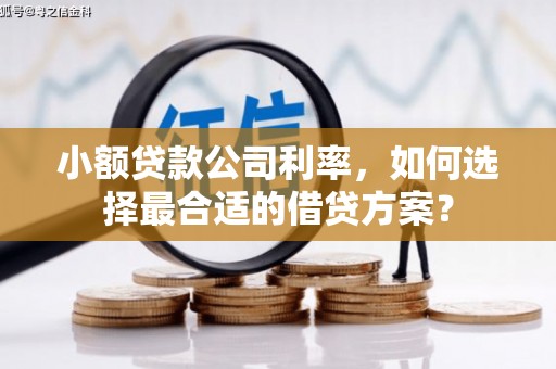 福安小额贷款公司利率，如何选择最合适的借贷方案？