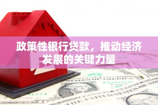 福安政策性银行贷款，推动经济发展的关键力量