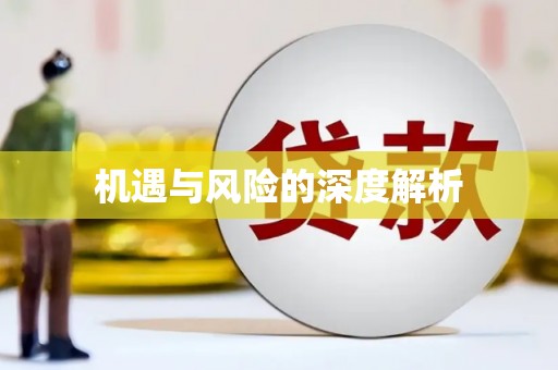 福安机遇与风险的深度解析