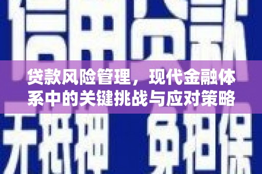 福安贷款风险管理，现代金融体系中的关键挑战与应对策略