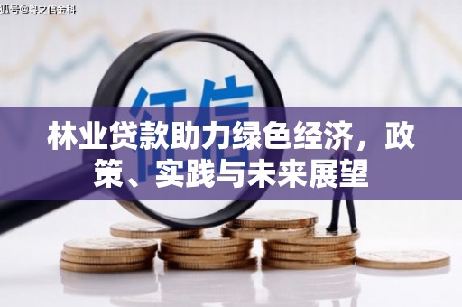 福安林业贷款助力绿色经济，政策、实践与未来展望