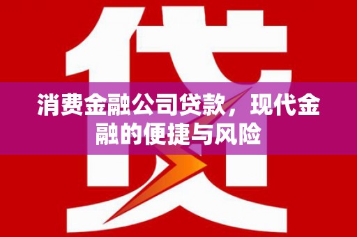 福安消费金融公司贷款，现代金融的便捷与风险