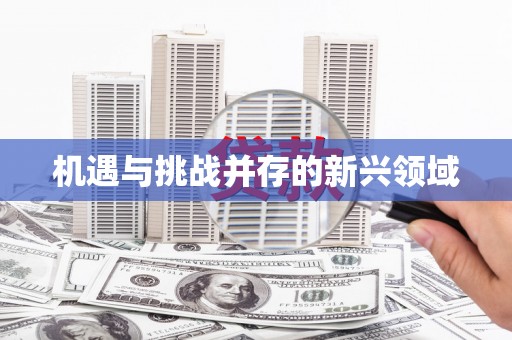 福安机遇与挑战并存的新兴领域