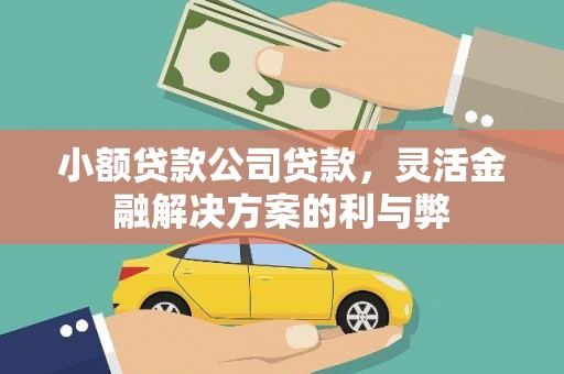 福安小额贷款公司贷款，灵活金融解决方案的利与弊
