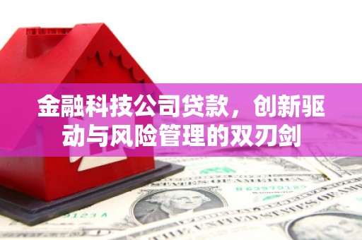 福安金融科技公司贷款，创新驱动与风险管理的双刃剑